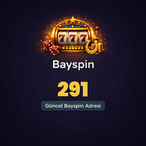291bayspin