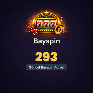 293bayspin